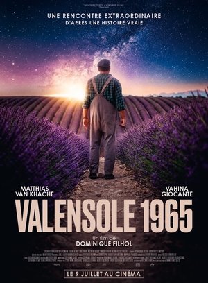 Valensole 1965 (2025)