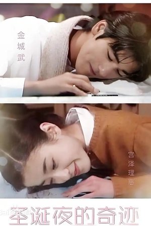 聖夜の奇跡　あなたの好きな愛はどれ? (1995)