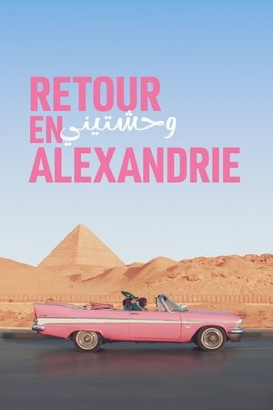 Retour en Alexandrie (2024)