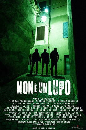 Non è un lupo (2022)