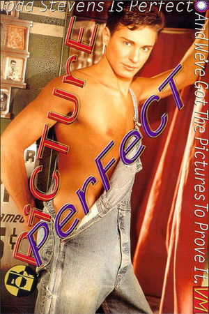 Picture Perfect (1996)