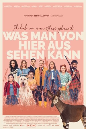 Le rêve de l'Okapi (2022)