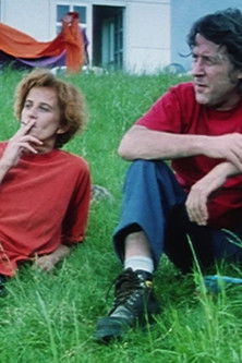 Surveiller les tortues (1999)