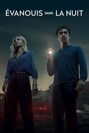 Évanouis dans la nuit (2024)