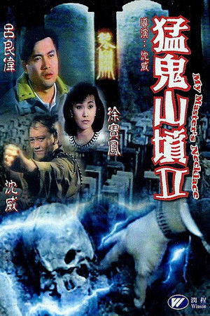 猛鬼山墳 (1991)