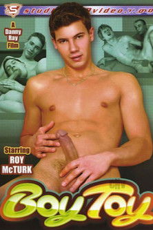 Boy Toy (2010)