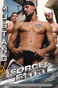 Forced Entry (2010)