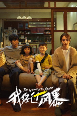 我经过风暴 (2023)