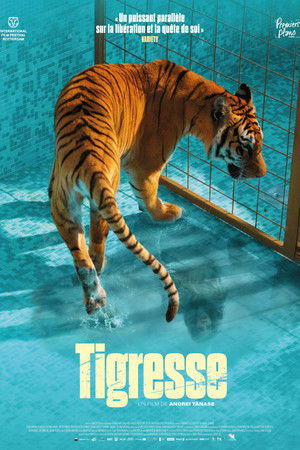 Tigresse (2024)