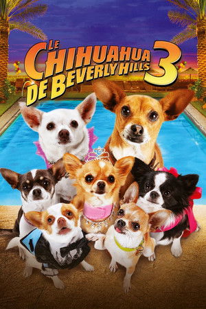 Le Chihuahua de Beverly Hills 3 : Viva la Fiesta ! (2012)