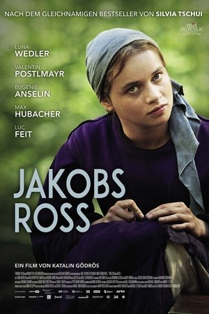 Jakobs Ross (2024)