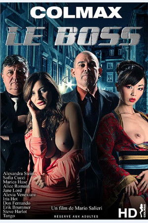 L'uomo dei sogni (2013)