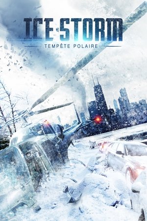Ice Storm : Tempête polaire (2023)