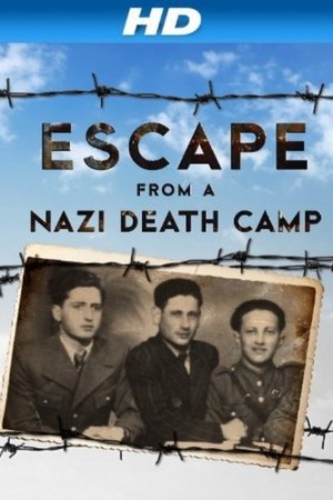 Escape From a Nazi Death Camp (2014)