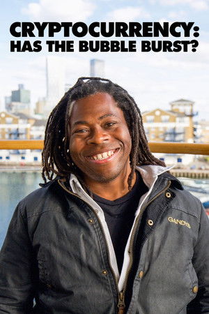 Cryptocurrency: Has the Bubble Burst? (2022)