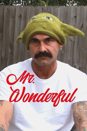 Mr. Wonderful (2022)