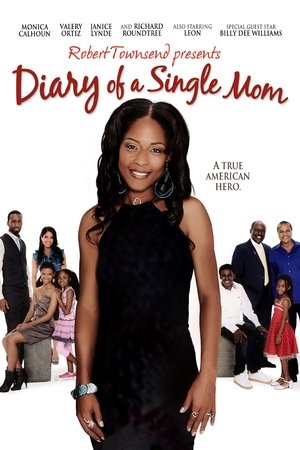 Diary of a Single Mom (2009)