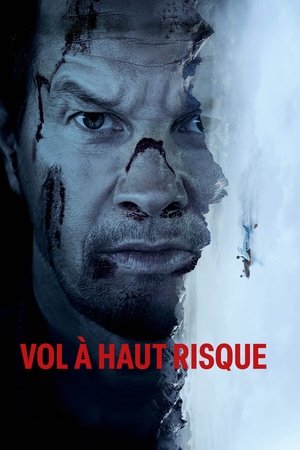 Vol à haut risque (2025)