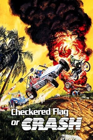 Checkered Flag or Crash (1977)