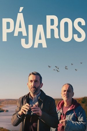 Pájaros (2024)