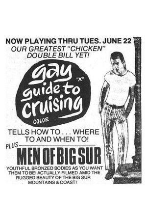 Gay Guide to Cruising (1983)