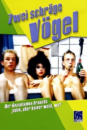 Zwei schräge Vögel (1989)