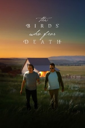 The Birds Who Fear Death (2024)