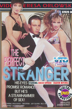 The Perfect Stranger (1988)