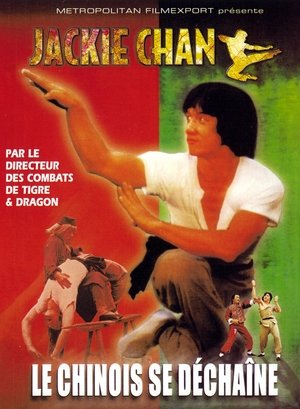 Le Chinois se déchaîne (1978)
