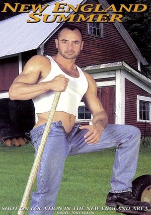 New England Summer (2002)