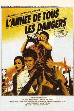 L'Année de tous les dangers (1982)