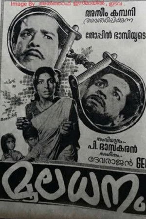 മൂലധനം (1969)