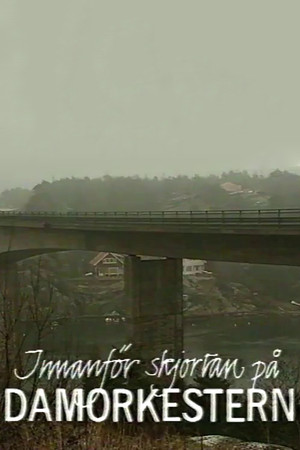 Innanför skjortan på Damorkestern (1991)