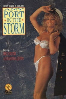 Any Port in the Storm (1991)