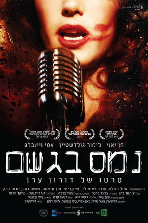 נמס בגשם (2011)