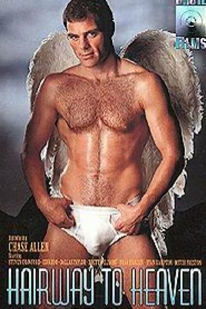 Hairway to Heaven (1995)