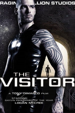 The Visitor (2009)
