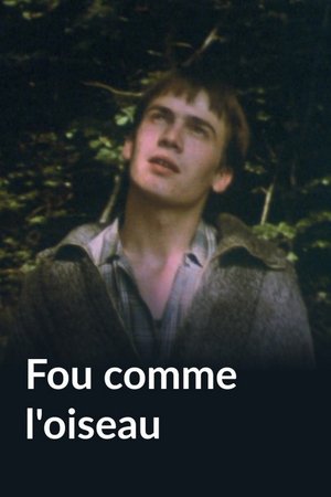 Fou comme l'oiseau (1983)