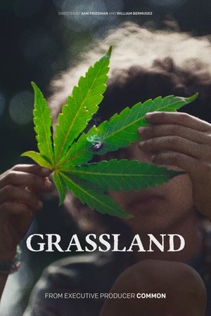 Grassland (2025)