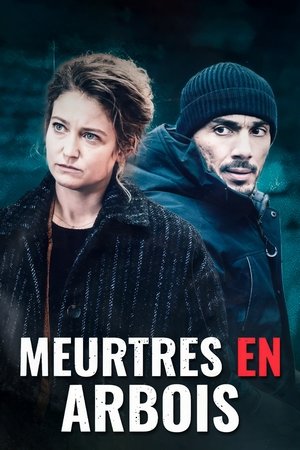 Meurtres en Arbois (2024)