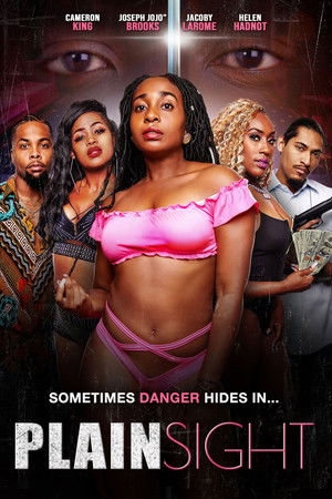Plain Sight (2024)
