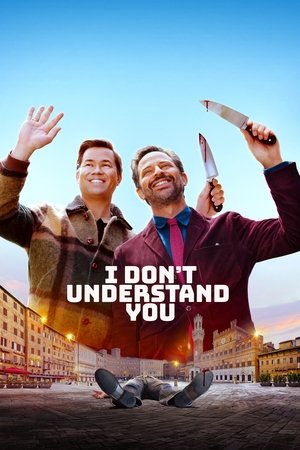 I Don't Understand You (2024)