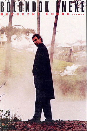 Bolondok éneke (2003)