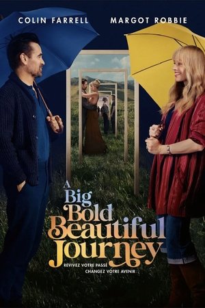 A Big Bold Beautiful Journey (2025)