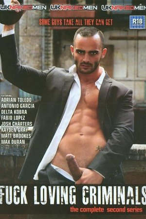 Fuck Loving Criminals 2 (2014)