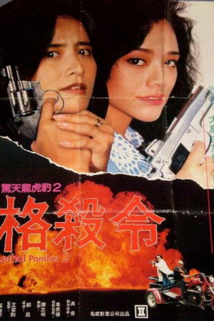 Magkasangga sa Batas (1993)