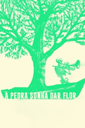 A Pedra Sonha Dar Flor (2024)