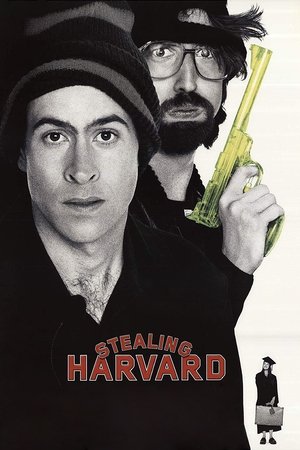 Harvard à tout prix (2002)