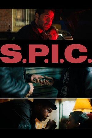 S.P.I.C. (2023)