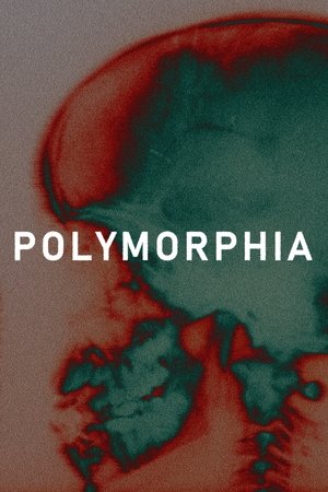 Polymorphia (2024)